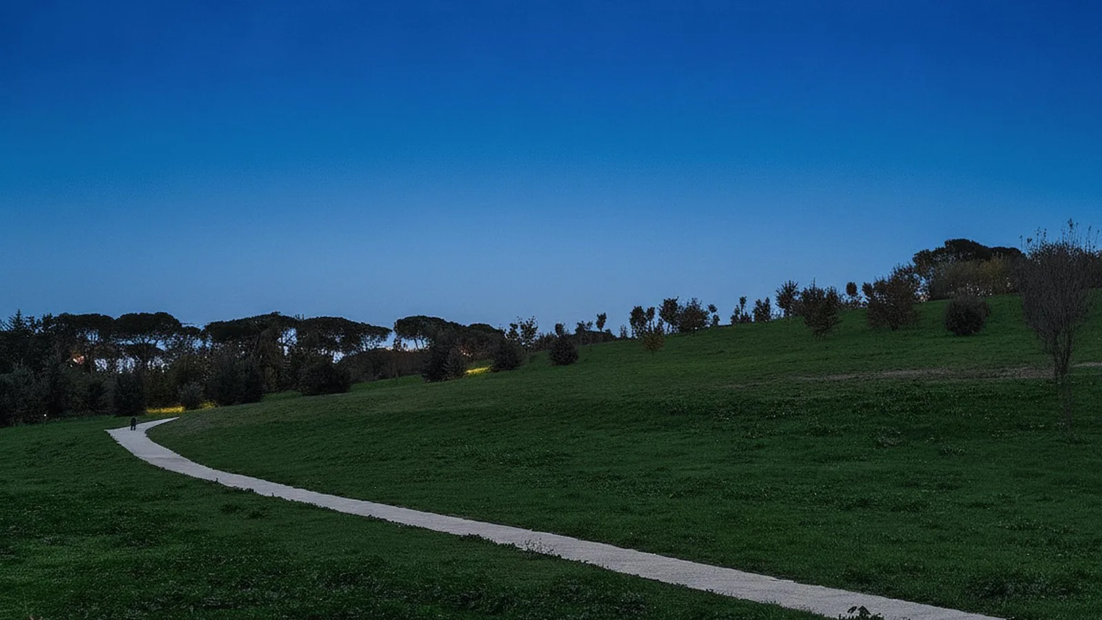 Il verde del Parco Talenti a Roma, con un vialetto che attraversa il prato in leggera salita